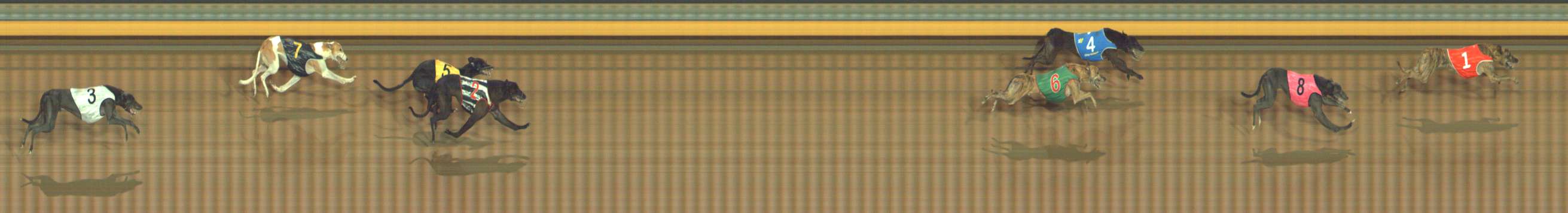 Race result finish photo